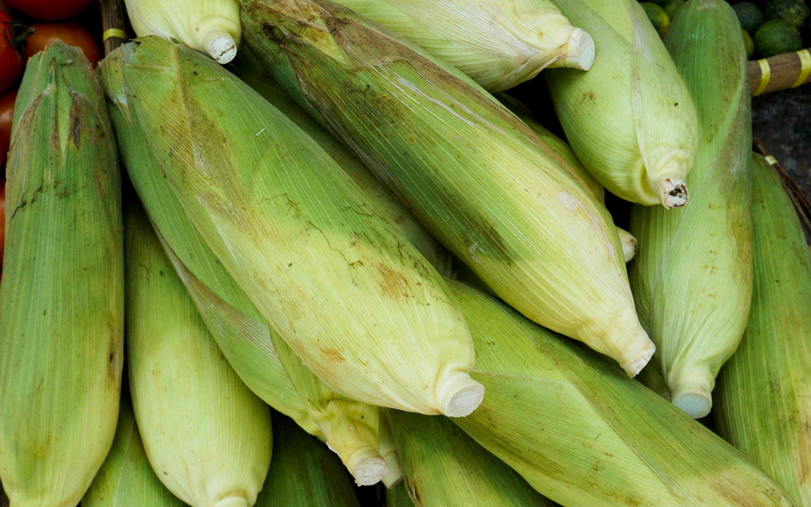 Best premium non-toxic cookware sets for induction stoves featured cover image