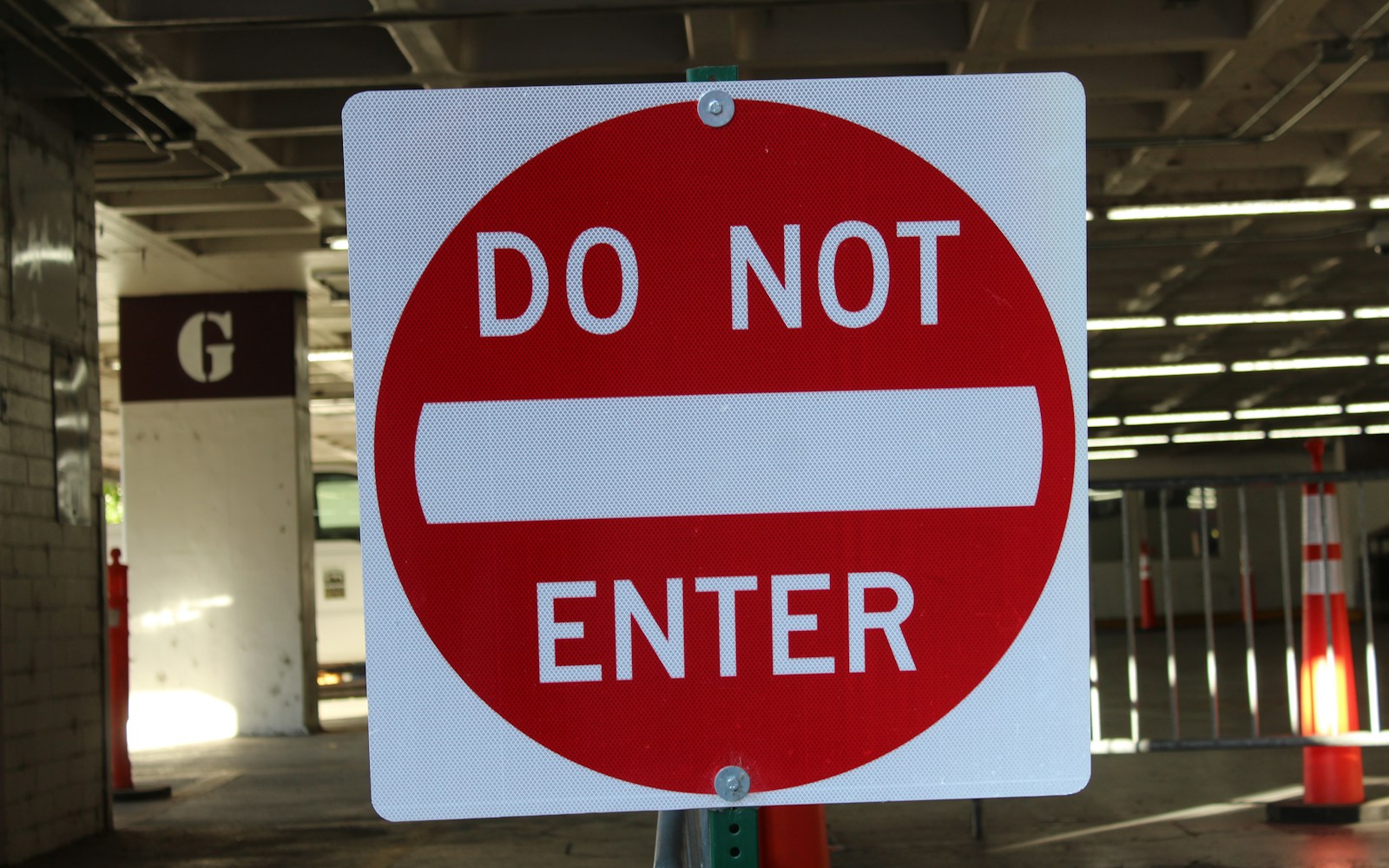 How to safely do heavy metal detoxing with natural binders featured cover image