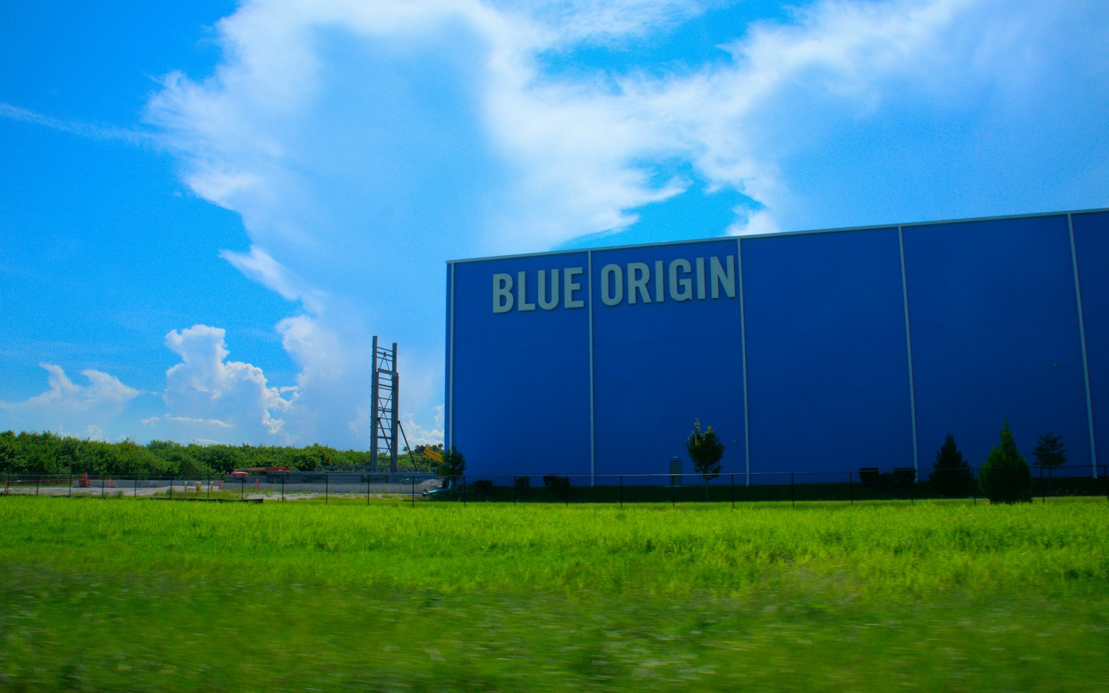 How to source grass-fed Wagyu beef for a carnivore diet featured cover image