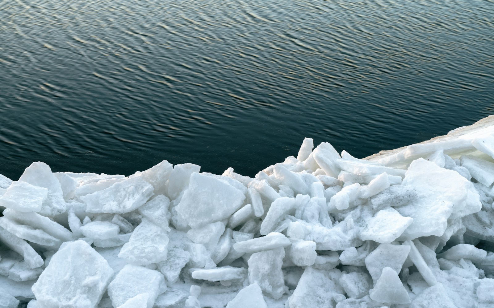 Best trace mineral drops to add to your reverse osmosis water featured cover image